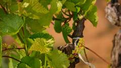 Madagaskar copyright piotr nogal 20191024_074916 Madagaskar copyright piotr nogal 20191024_074916