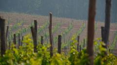 Madagaskar copyright piotr nogal 20191024_074939 Madagaskar copyright piotr nogal 20191024_074939