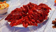 Madagaskar copyright piotr nogal 20191024_094828 Madagaskar copyright piotr nogal 20191024_094828