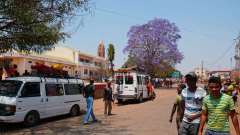 Madagaskar copyright piotr nogal 20191024_104305 Madagaskar copyright piotr nogal 20191024_104305