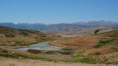 Madagaskar copyright piotr nogal 20191025_100447 Madagaskar copyright piotr nogal 20191025_100447