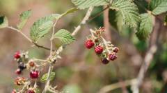 Madagaskar copyright piotr nogal 20191025_100757 Madagaskar copyright piotr nogal 20191025_100757