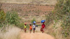 Madagaskar copyright piotr nogal 20191025_101745 Madagaskar copyright piotr nogal 20191025_101745