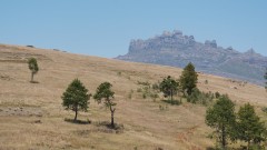 Madagaskar copyright piotr nogal 20191025_101944 Madagaskar copyright piotr nogal 20191025_101944