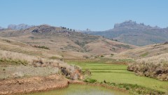 Madagaskar copyright piotr nogal 20191025_103106 Madagaskar copyright piotr nogal 20191025_103106