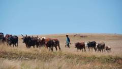 Madagaskar copyright piotr nogal 20191025_103113 Madagaskar copyright piotr nogal 20191025_103113