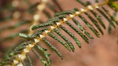 Madagaskar copyright piotr nogal 20191025_120556 Madagaskar copyright piotr nogal 20191025_120556