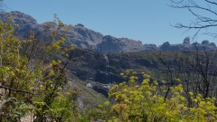 Madagaskar copyright piotr nogal 20191025_122700 Madagaskar copyright piotr nogal 20191025_122700