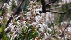 Madagaskar copyright piotr nogal 20191025_123904 Madagaskar copyright piotr nogal 20191025_123904