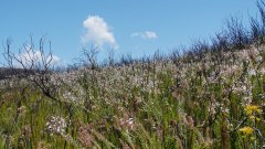 Madagaskar copyright piotr nogal 20191025_124812 Madagaskar copyright piotr nogal 20191025_124812