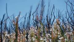 Madagaskar copyright piotr nogal 20191025_124824 Madagaskar copyright piotr nogal 20191025_124824