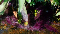 Madagaskar copyright piotr nogal 20191025_134540 Madagaskar copyright piotr nogal 20191025_134540