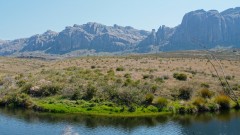 Madagaskar copyright piotr nogal 20191025_135615 Madagaskar copyright piotr nogal 20191025_135615