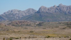 Madagaskar copyright piotr nogal 20191025_141920 Madagaskar copyright piotr nogal 20191025_141920