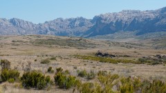 Madagaskar copyright piotr nogal 20191025_142030 Madagaskar copyright piotr nogal 20191025_142030