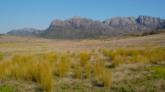 Madagaskar copyright piotr nogal 20191025_150517 Madagaskar copyright piotr nogal 20191025_150517