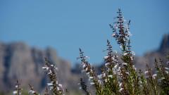 Madagaskar copyright piotr nogal 20191025_150633 Madagaskar copyright piotr nogal 20191025_150633