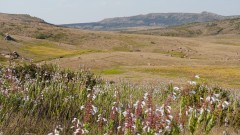 Madagaskar copyright piotr nogal 20191025_150947 Madagaskar copyright piotr nogal 20191025_150947