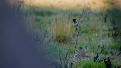 Madagaskar copyright piotr nogal 20191025_161429 Madagaskar copyright piotr nogal 20191025_161429