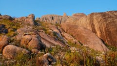 Madagaskar copyright piotr nogal 20191026_054400 Madagaskar copyright piotr nogal 20191026_054400