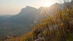 Madagaskar copyright piotr nogal 20191026_054434 Madagaskar copyright piotr nogal 20191026_054434