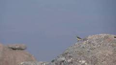 Madagaskar copyright piotr nogal 20191026_070648 Madagaskar copyright piotr nogal 20191026_070648