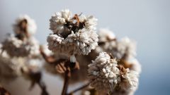 Madagaskar copyright piotr nogal 20191026_075355 Madagaskar copyright piotr nogal 20191026_075355