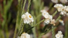 Madagaskar copyright piotr nogal 20191026_075628 Madagaskar copyright piotr nogal 20191026_075628