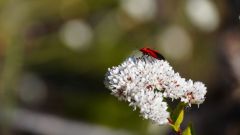 Madagaskar copyright piotr nogal 20191026_075654 Madagaskar copyright piotr nogal 20191026_075654