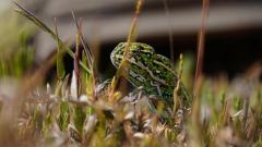 Madagaskar copyright piotr nogal 20191026_083554 Madagaskar copyright piotr nogal 20191026_083554