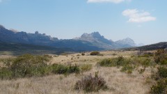 Madagaskar copyright piotr nogal 20191026_095258 Madagaskar copyright piotr nogal 20191026_095258