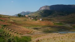 Madagaskar copyright piotr nogal 20191026_132908 Madagaskar copyright piotr nogal 20191026_132908