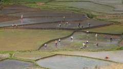 Madagaskar copyright piotr nogal 20191026_132920 Madagaskar copyright piotr nogal 20191026_132920