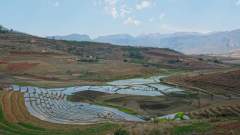 Madagaskar copyright piotr nogal 20191026_133244 Madagaskar copyright piotr nogal 20191026_133244