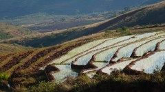 Madagaskar copyright piotr nogal 20191027_065714 Madagaskar copyright piotr nogal 20191027_065714