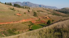 Madagaskar copyright piotr nogal 20191027_072621 Madagaskar copyright piotr nogal 20191027_072621