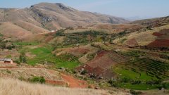 Madagaskar copyright piotr nogal 20191027_084631 Madagaskar copyright piotr nogal 20191027_084631