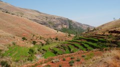 Madagaskar copyright piotr nogal 20191027_090050 Madagaskar copyright piotr nogal 20191027_090050