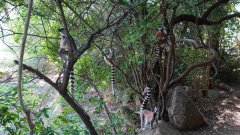 Madagaskar copyright piotr nogal 20191027_154751