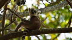 Madagaskar copyright piotr nogal 20191027_155246