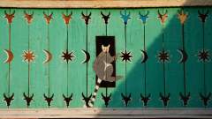 Madagaskar copyright piotr nogal 20191027_161942