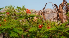 Madagaskar copyright piotr nogal 20191027_162253