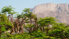 Madagaskar copyright piotr nogal 20191027_162320