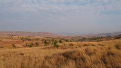 Madagaskar copyright piotr nogal 20191028_063537