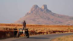 Madagaskar copyright piotr nogal 20191028_063652