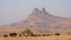 Madagaskar copyright piotr nogal 20191028_063829