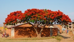 Madagaskar copyright piotr nogal 20191028_065538