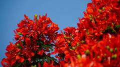 Madagaskar copyright piotr nogal 20191028_065624