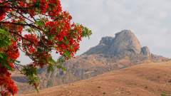 Madagaskar copyright piotr nogal 20191028_065649 Madagaskar copyright piotr nogal 20191028_065649