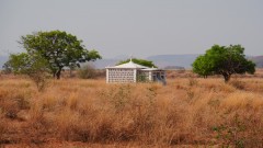 Madagaskar copyright piotr nogal 20191028_075910 Madagaskar copyright piotr nogal 20191028_075910